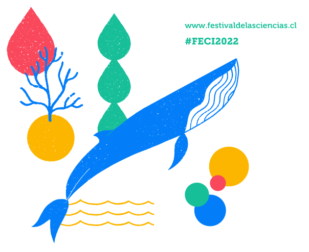 CMM en FECI 2022