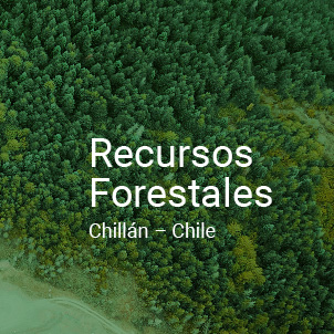 Rcursos forestales